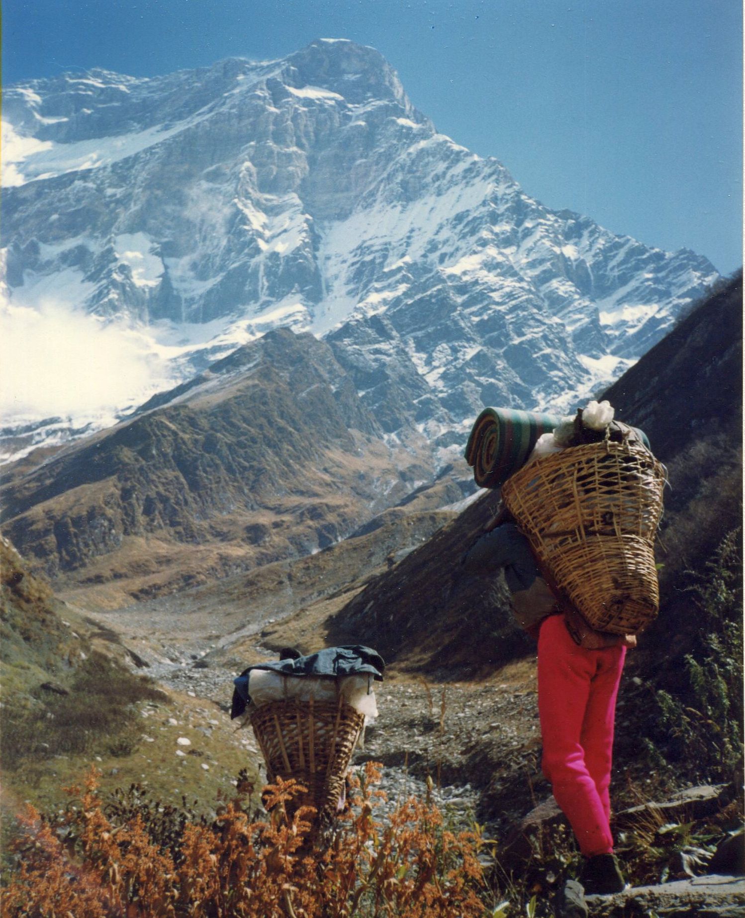 Mt.Dhaulagiri I from Myagda Khola Valley