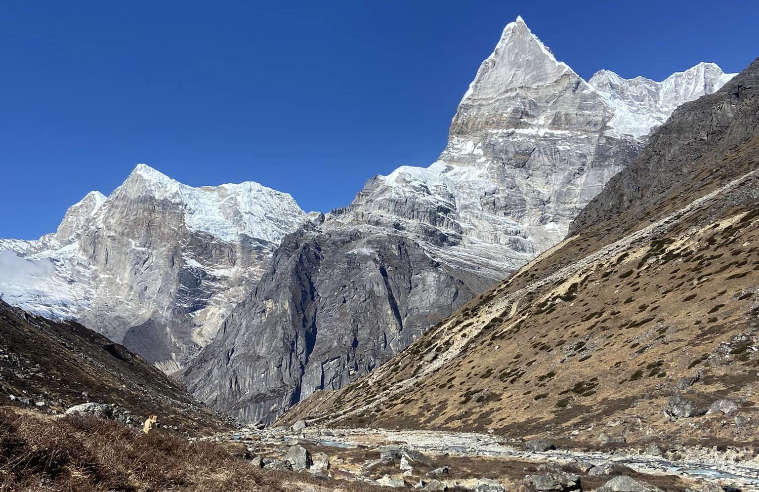 Kusum Kanguru and Peak 43 ( Kyashar ) on ascent to Dig Kare