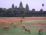 angkor_wat_5.jpg