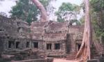 ta_prohm_2.jpg