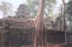 ta_prohm_3.jpg