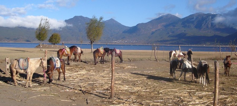 Lashi Hai Lake Wetland Park