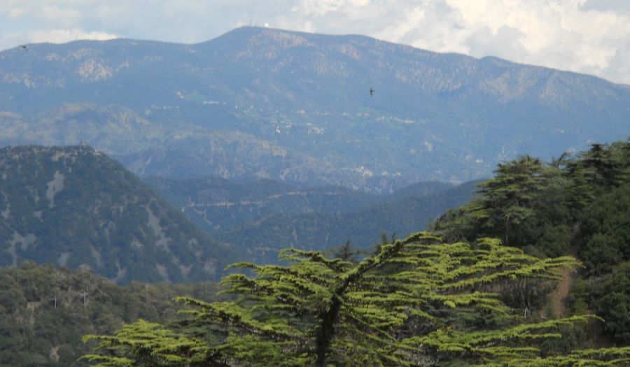 Mount Olympus from the summit of Mount Tripylos