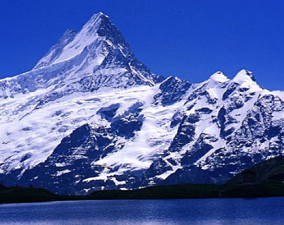 Schreckhorn - Terror Peak - from Bachalpsee