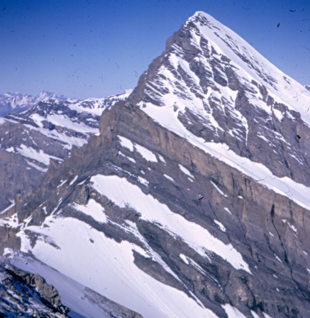 Rinderhorn from Balmhorn