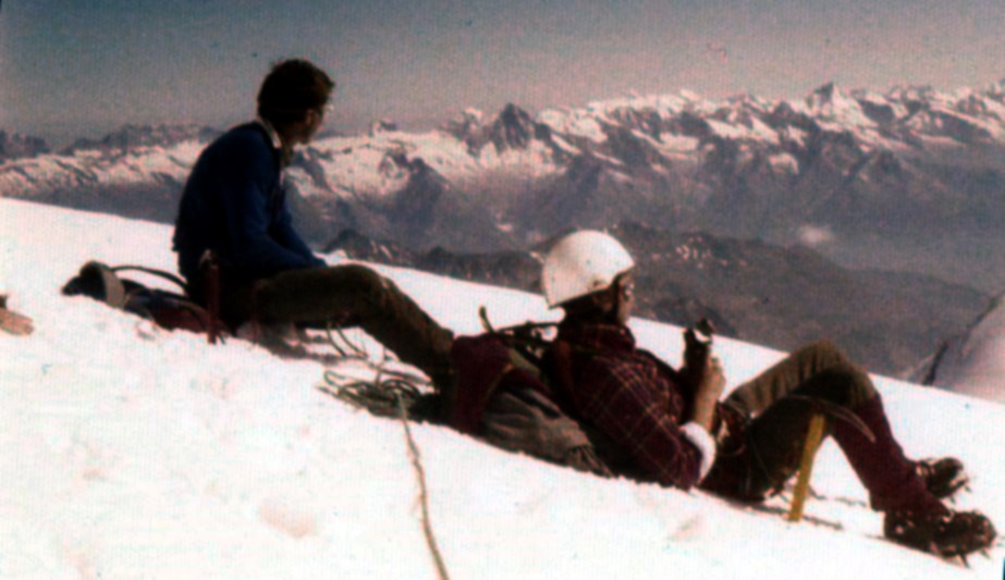 View from  Weisshorn ( 4505 metres )