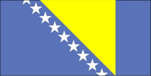 Bosnia flag