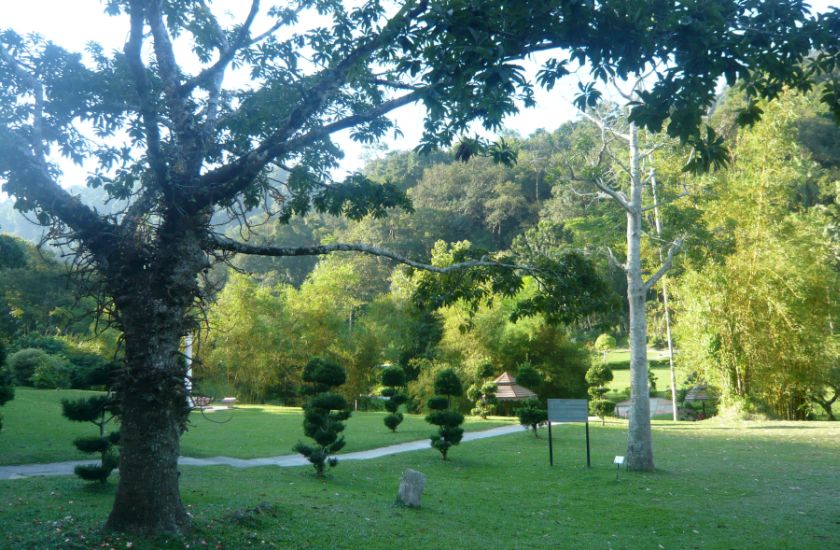 Botanic Gardens in Georgetown on Penang Island in Malaysia