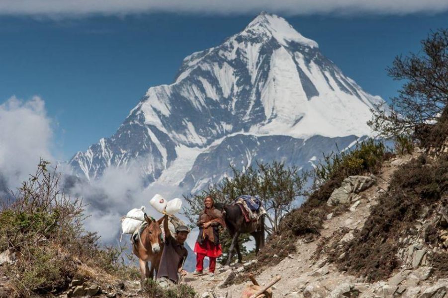 Mount Dhaulagiri