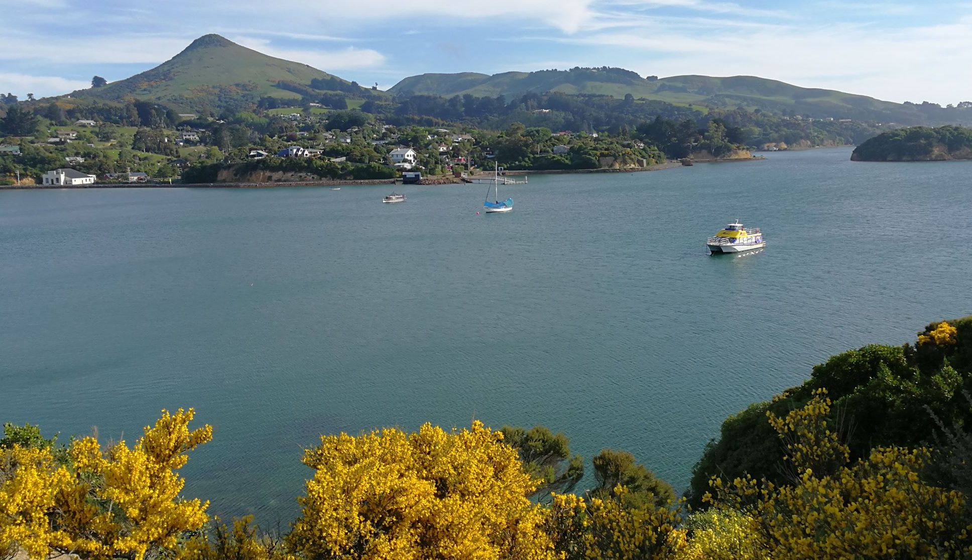 Portobello near Dunedin