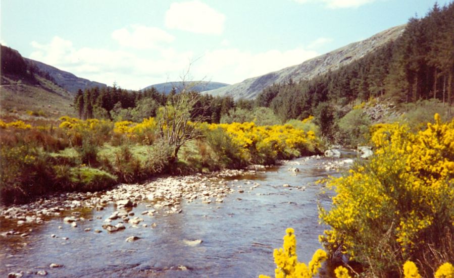 Glen Rosa on the Island of Arran in Springtime