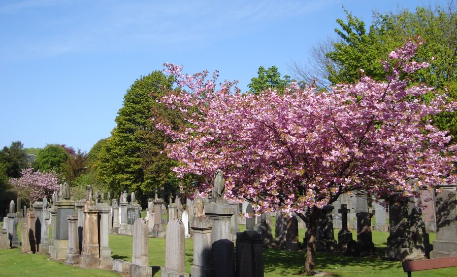 New Kilpatrick Church in springtime