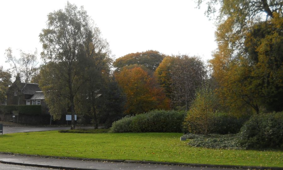 Trees at Canniesburn Toll in Bearsden