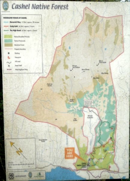 Map of Cashel Forest and Beinn Bhreac