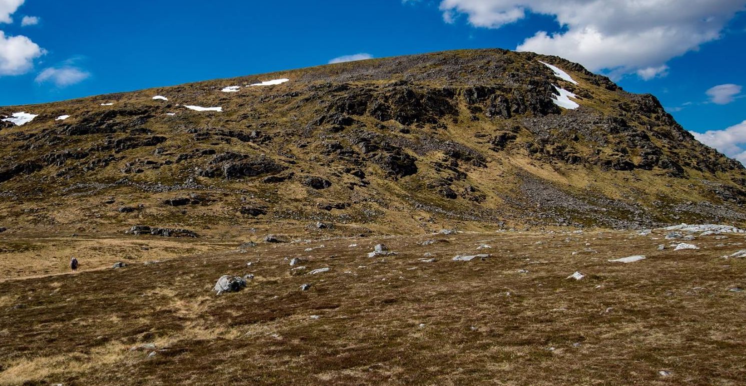 Ben Alder