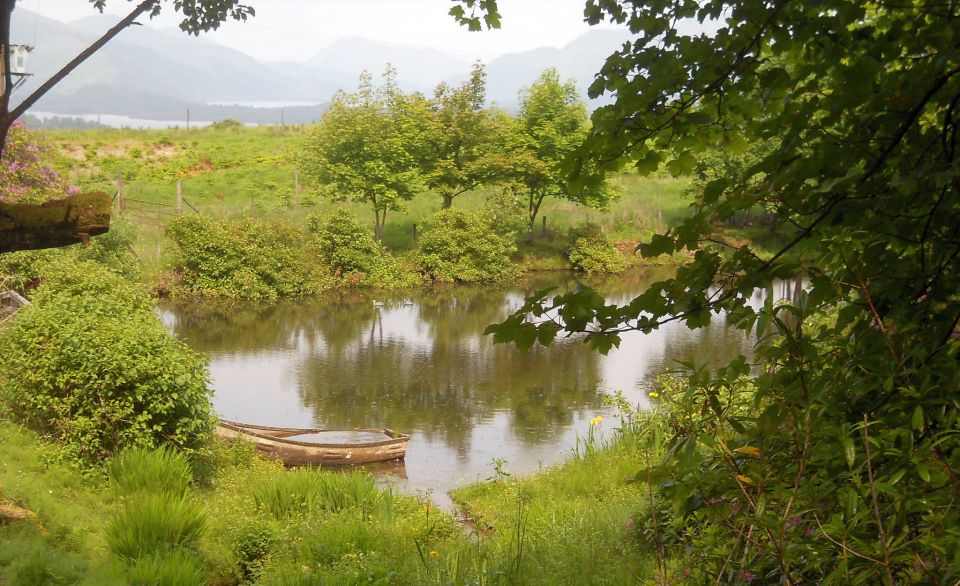 Pond at Lorn Cottage