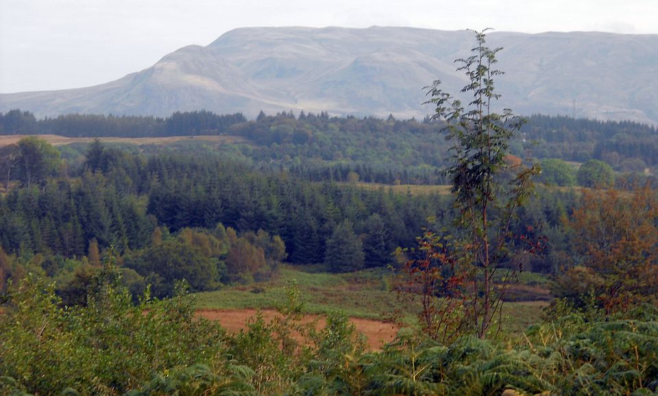 Dumgoyne and the Campsie Fells