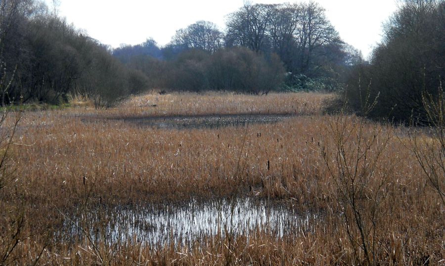 Dougalston Loch