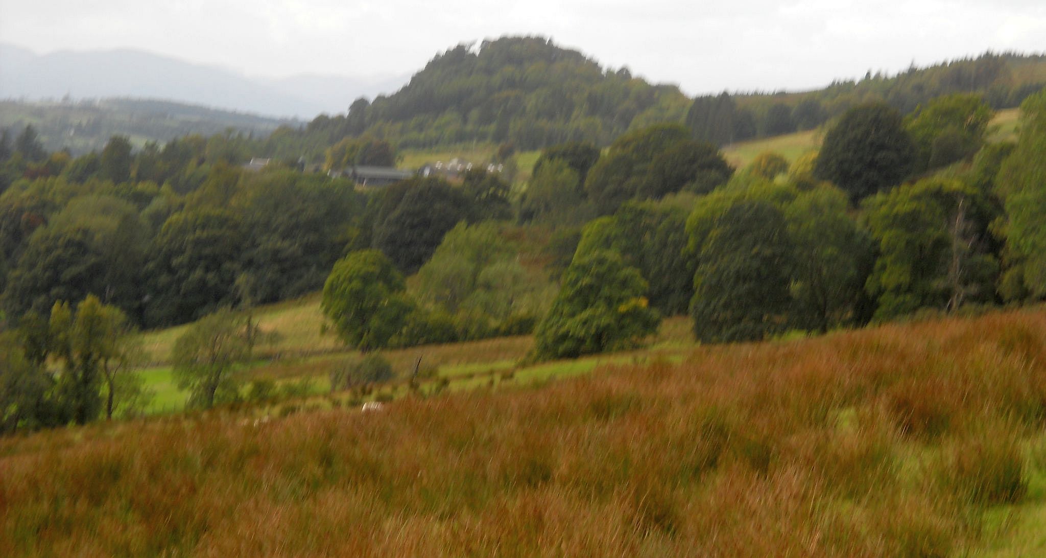 Craigbrock Farm and Kilpatrick Hills on ascent to Dumgoyne