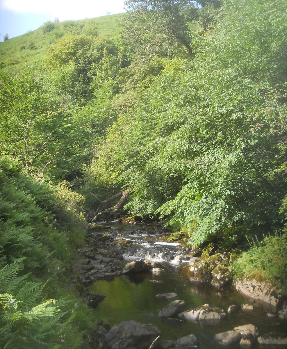 Finglen Burn