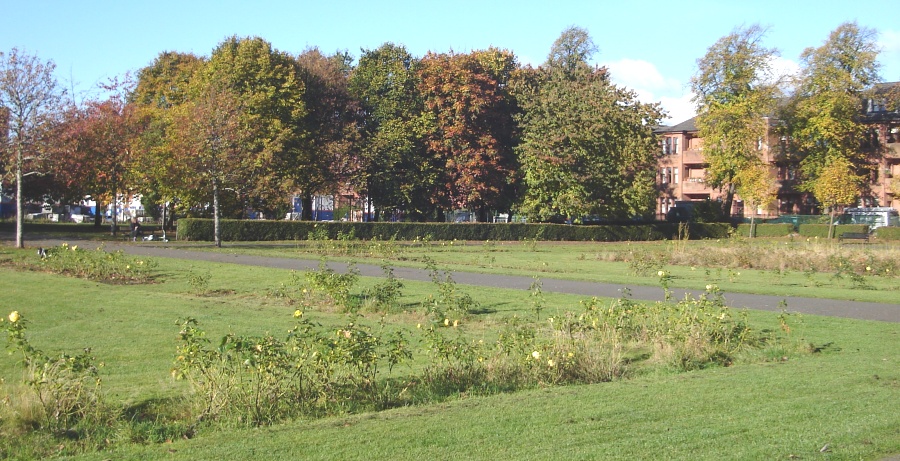 Holmlea Park