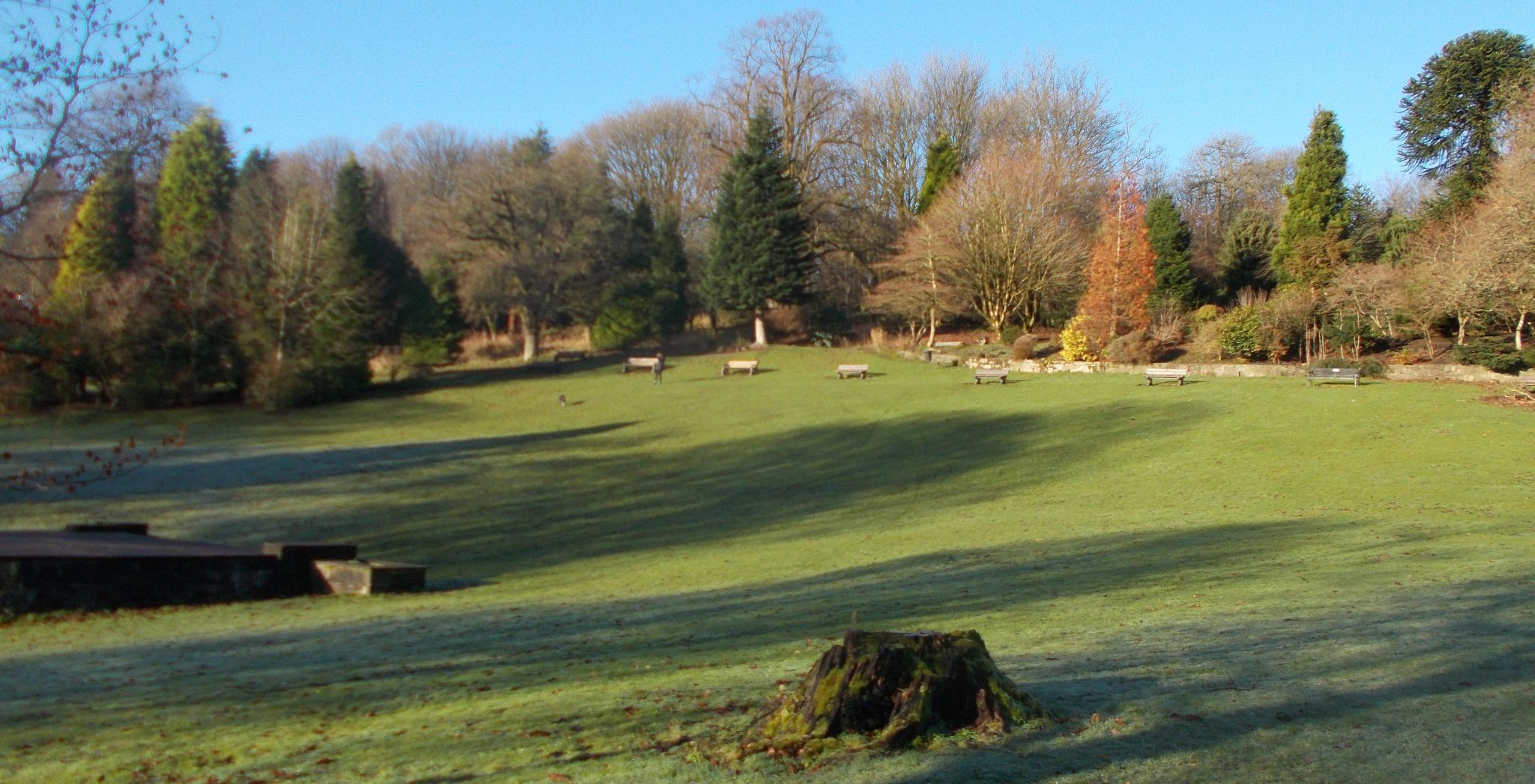 Picnic site at Carron Valley Reservoir