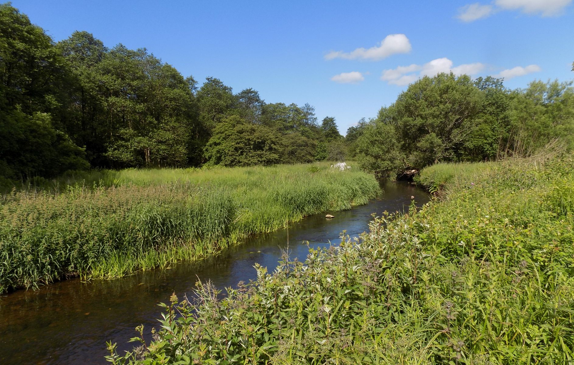 The Luggie Water at Kirkintilloch