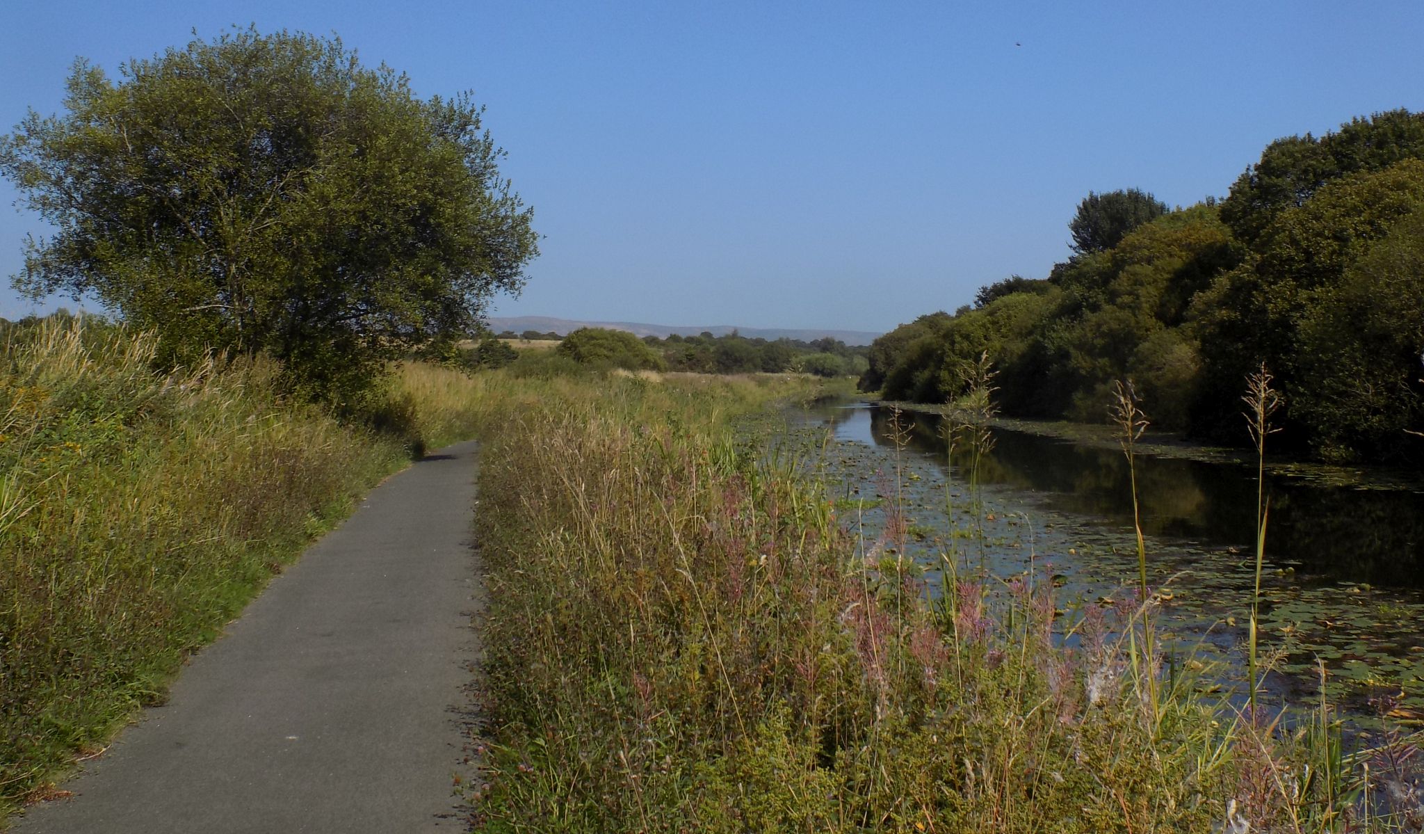 The Forth & Clyde Canal from Lambhill to Cadder