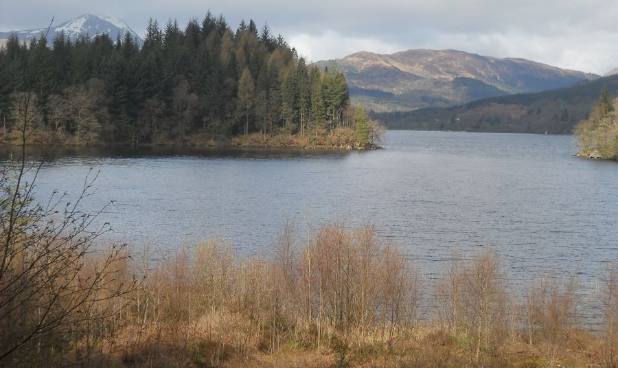 Ben Lomond from Loch Ard