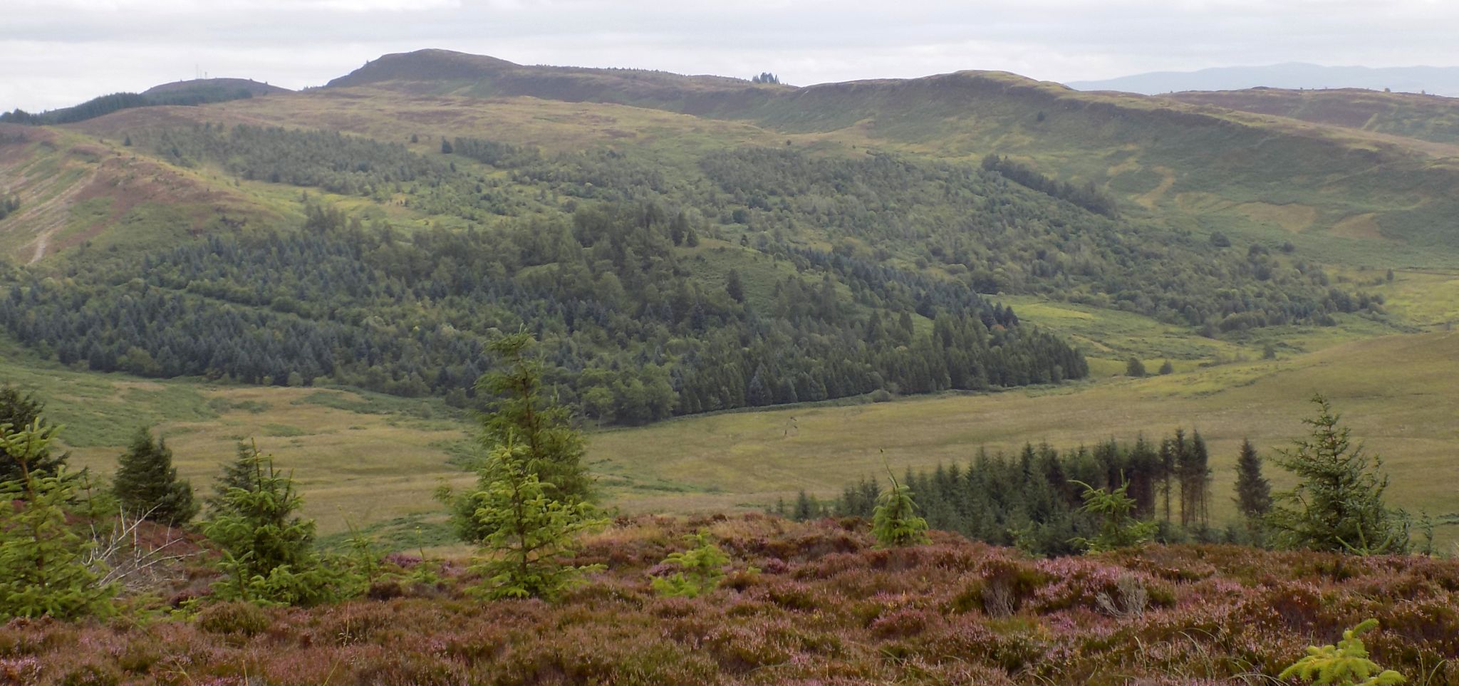 Craigmore above Aberfoyle from Braeval Forest