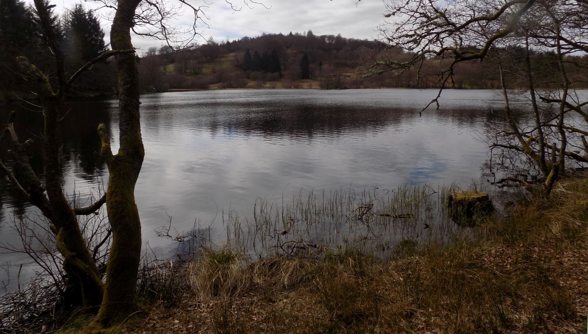 The Loch at Carbeth