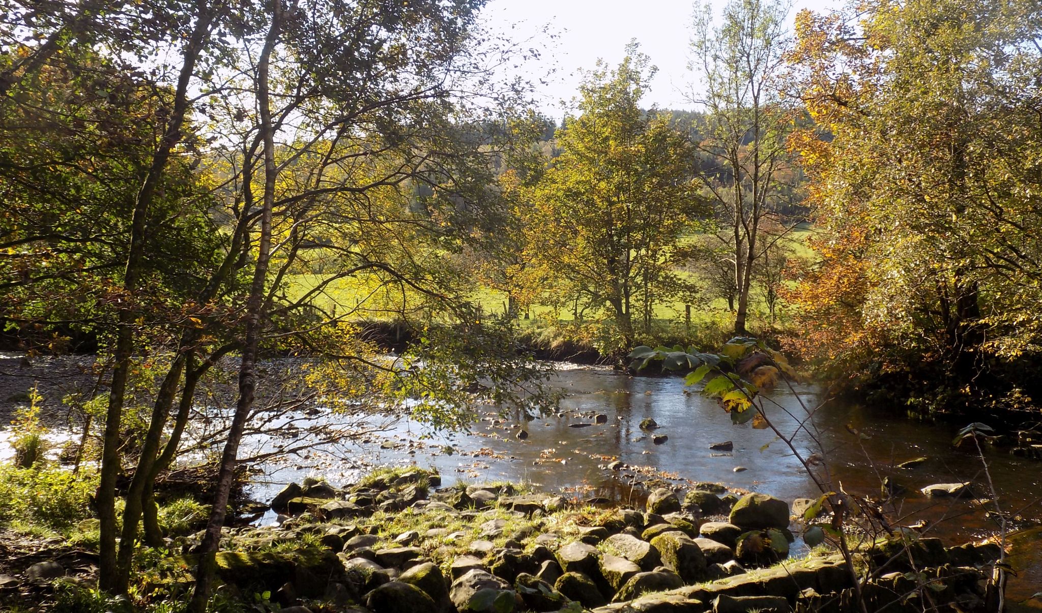 Glazert Water from the Strathkelvin Railway Path