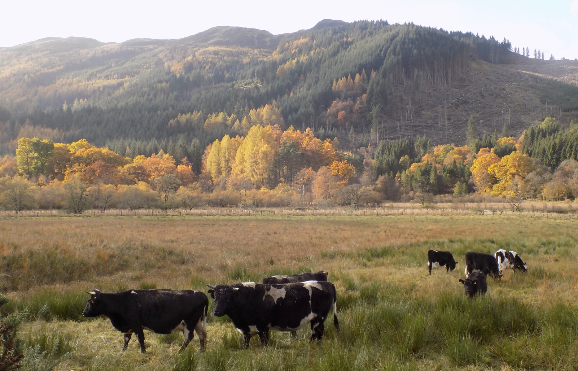 Hills above return route to Strathyre