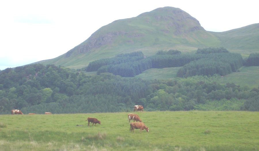 Dumgoyne