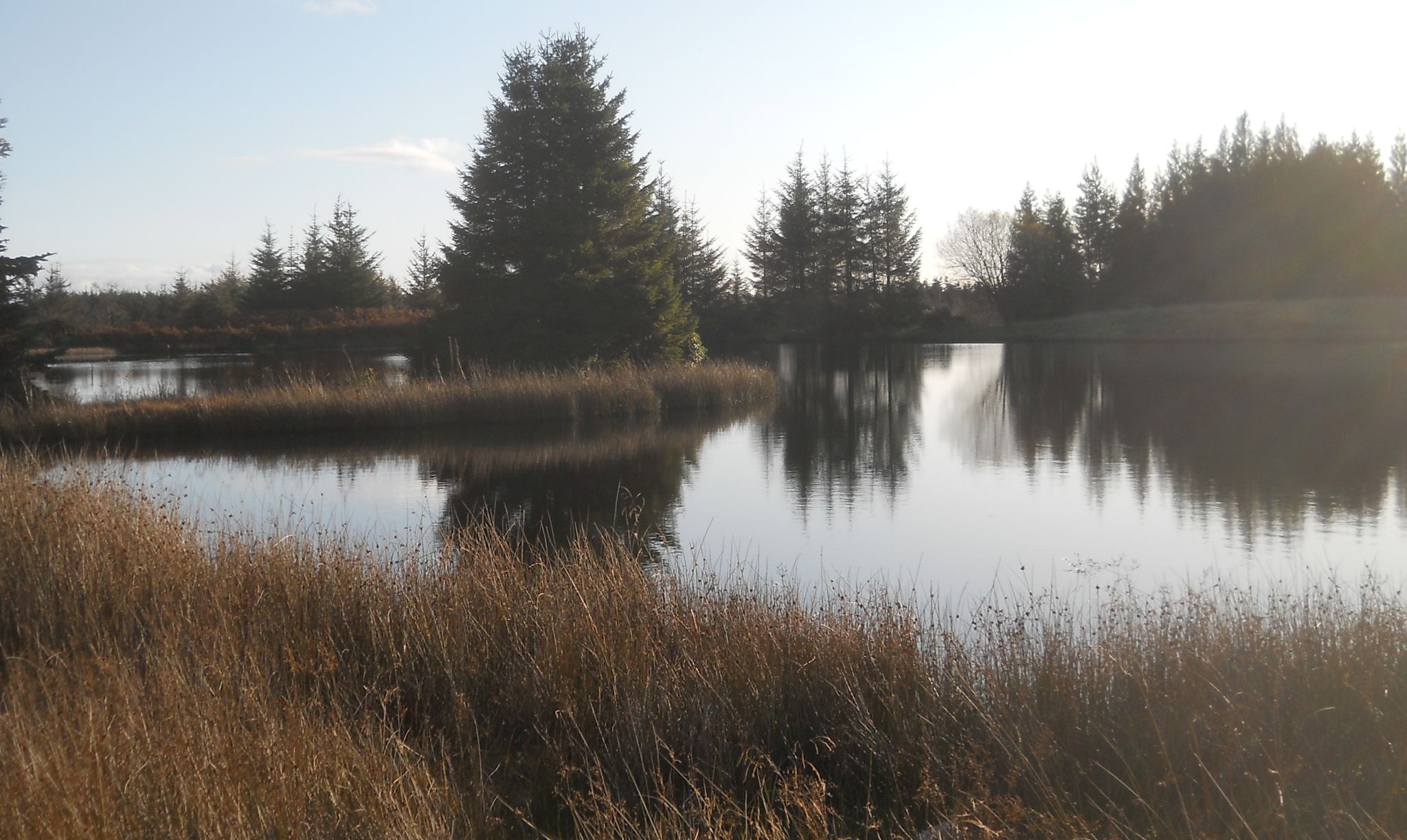 Lochan off Cameron Avenue to Auchineden House