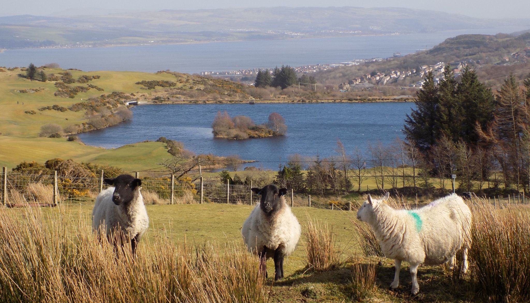 Whinhill Reservoir from Hill top above Overton