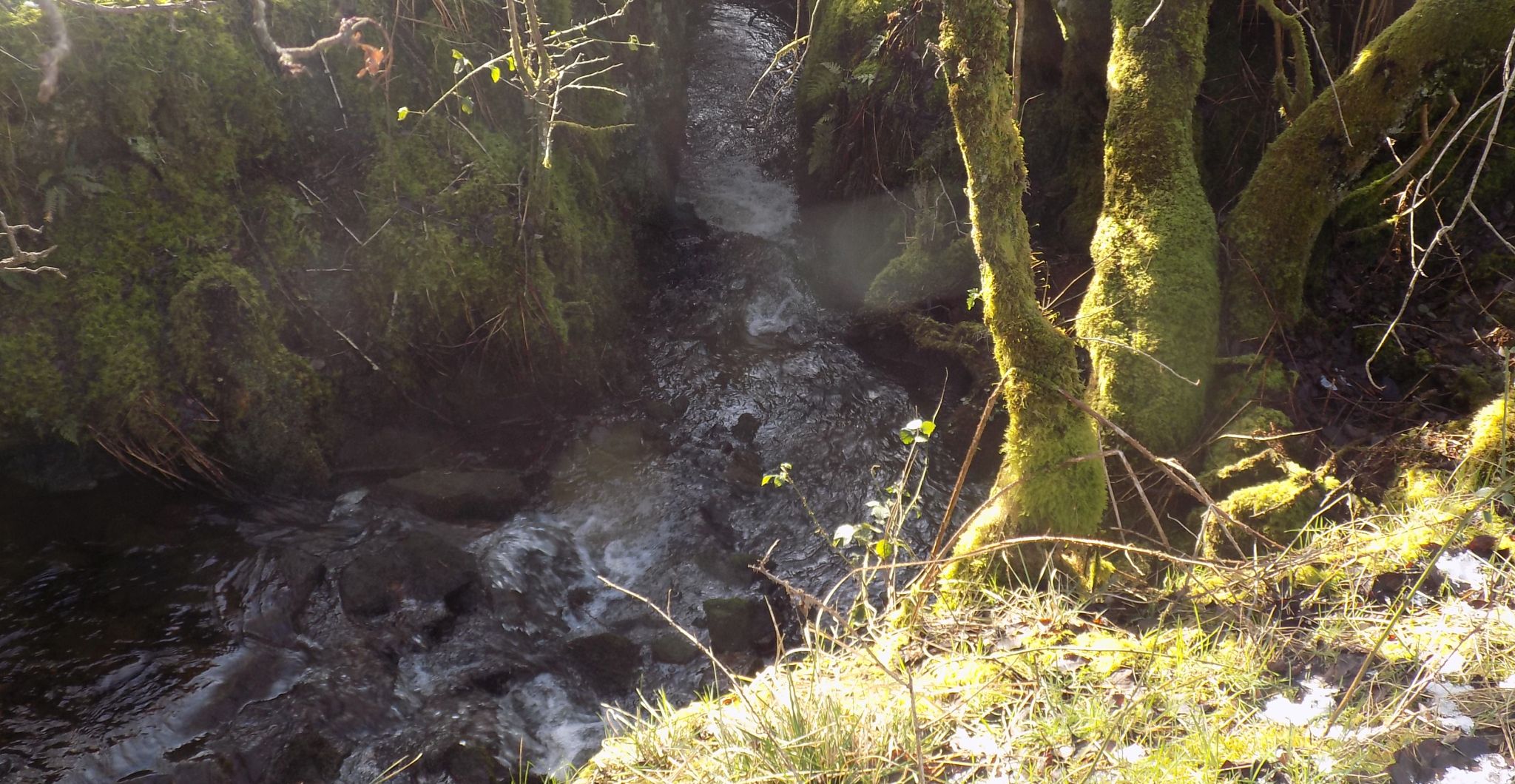 Annie's Linn on Manse Burn at Windyhill Golf Course