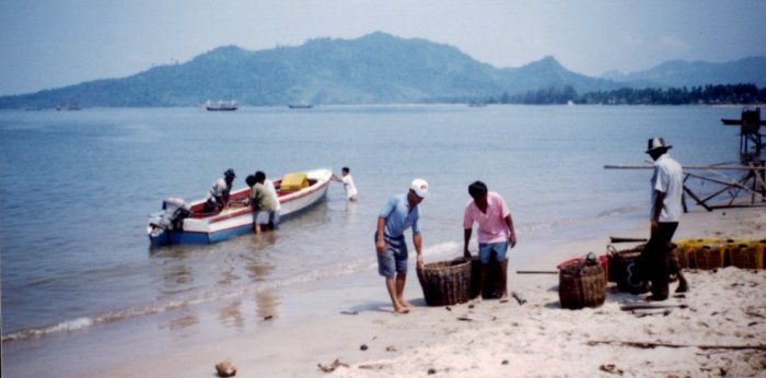 Landing fish on beach near Sibolga on Sumatra