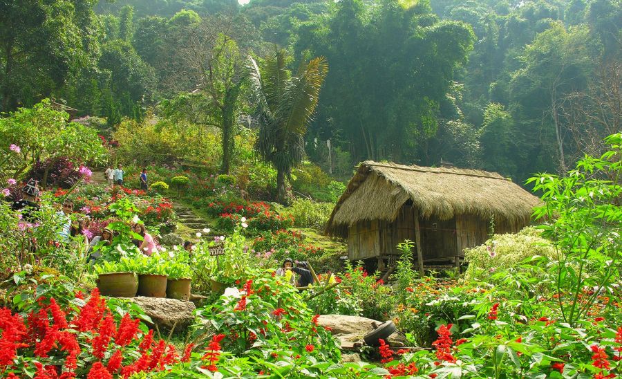 Doi Phu Kha National Park in Northern Thailand