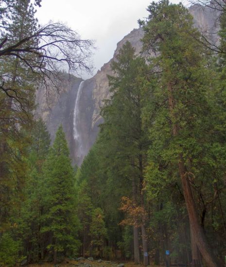 Yosemite Falls in Yosemite Valley, California, USA