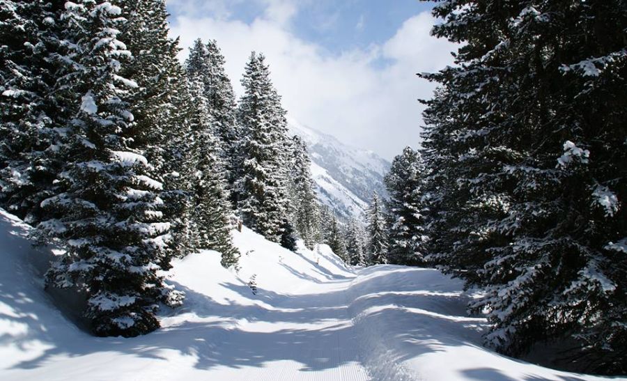 Ski-ing in the Austrian Tyrol