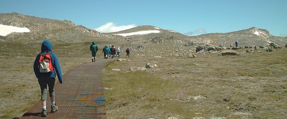 Mt. Kosciusko , Snowy Mountains, Australia